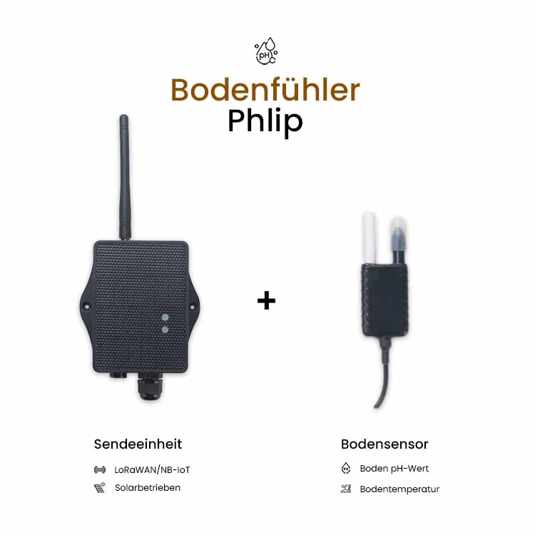 Bodenfühler Phlip