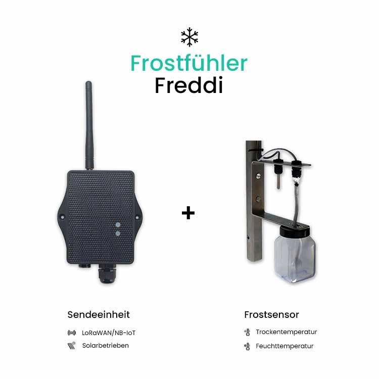 Frostfühler Freddi