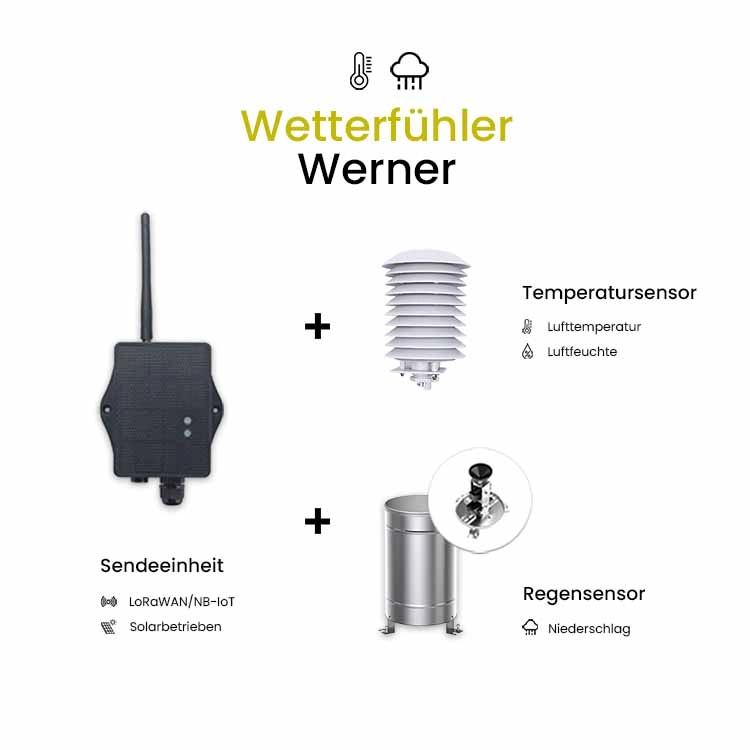 Sensore meteo Werner