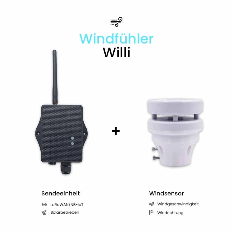 Windfühler Willi